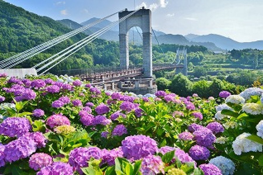🏞️ 가나가와 현립 하다노토가와 공원 (카나가와켄리츠 하다노 토가와 코엔)